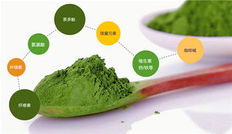 甜食 齲齒 這些植物提取物能夠幫助我們預(yù)防齲齒