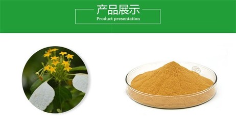 小茴香提取物 藥食同源產(chǎn)品 小茴香粉