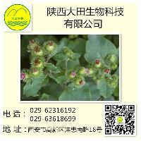 供應(yīng)牛蒡子提取物 植物提取物 廠家直銷批發(fā)價(jià)格@西安 陜西大田生物 植物提取物-