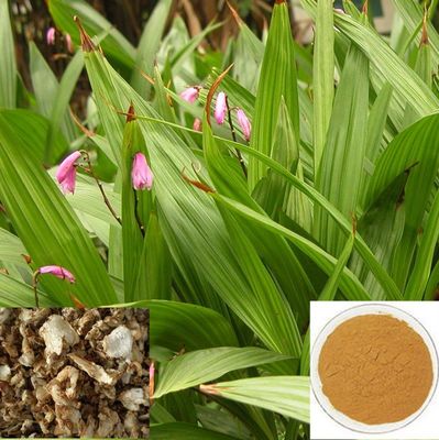 白芨提取物價格