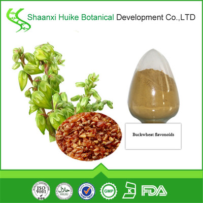 蕎麥提取物價格 -蓋德化工網