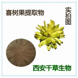 黃芪全水溶濃縮粉在保健食品中的應(yīng)用與市場報價分析