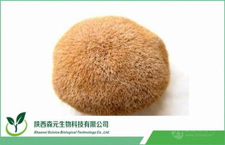 猴頭菇多糖及提取物 工廠直供價格與市場前景解析